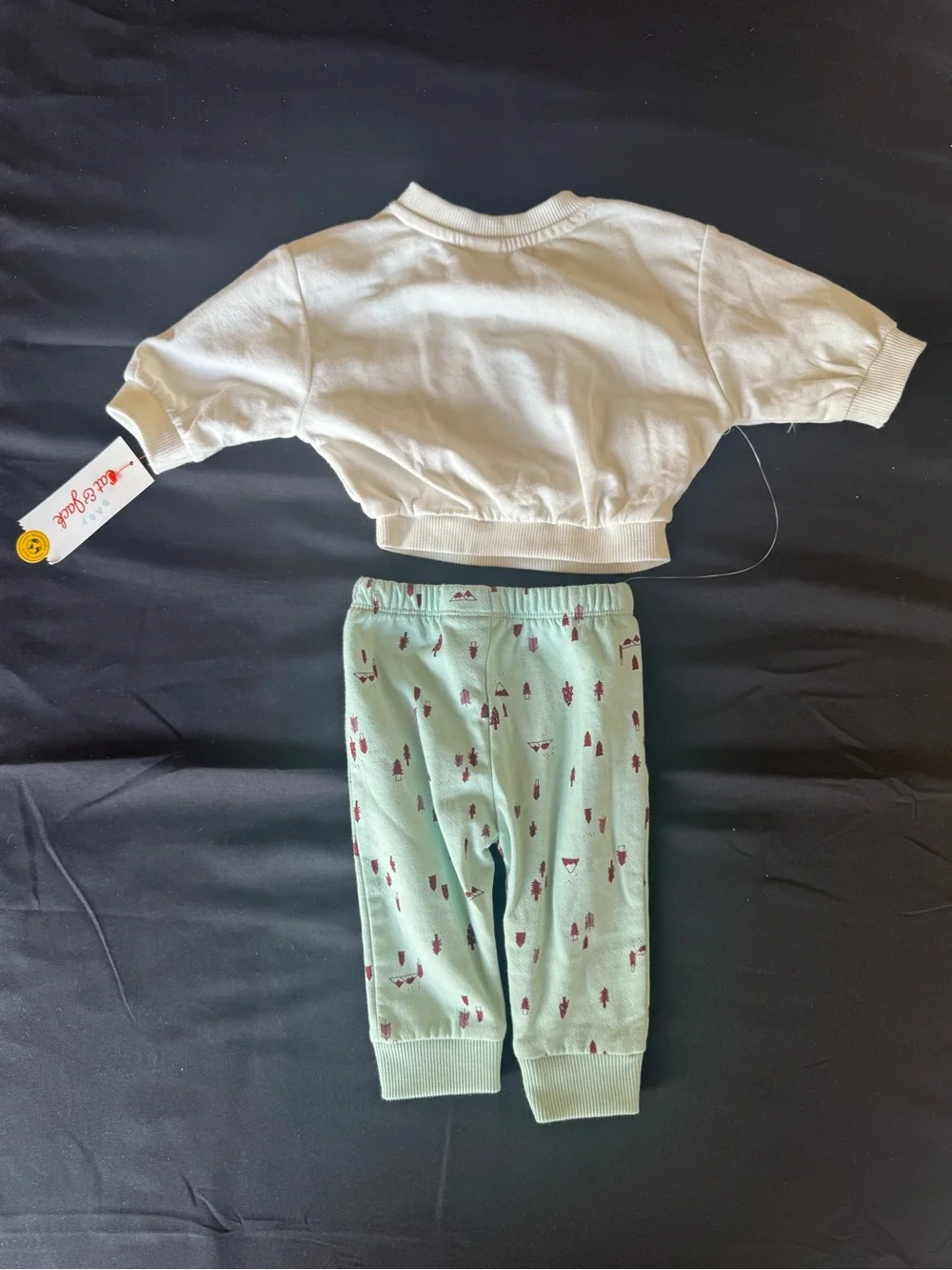Cat & Jack nwt adorable